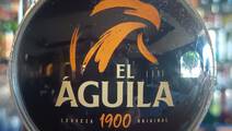 Águila